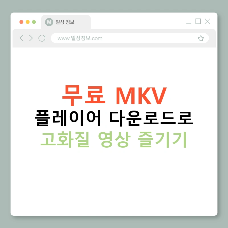 무료 MKV 플레이어 다운로드로 고화질 영상 즐기기
