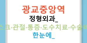 광교중앙역 정형외과: 디스크·관절·통증·도수치료·수술비용 한눈에!