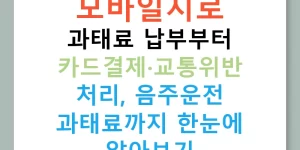 모바일지로 과태료 납부부터 카드결제·교통위반 처리, 음주운전 과태료까지 한눈에 알아보기