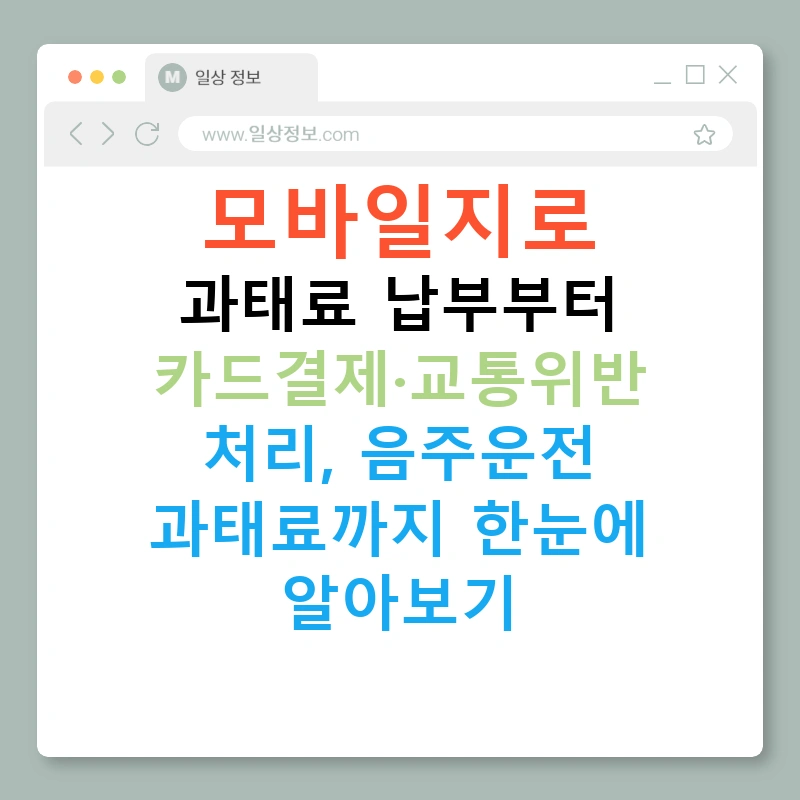 모바일지로 과태료 납부부터 카드결제·교통위반 처리, 음주운전 과태료까지 한눈에 알아보기