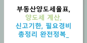 부동산양도세율표, 양도세 계산, 신고기한, 필요경비 총정리 완전정복!