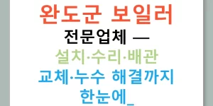 완도군 보일러 전문업체 — 설치·수리·배관 교체·누수 해결까지 한눈에!